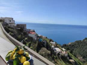 Piccola Perla Amalfi
